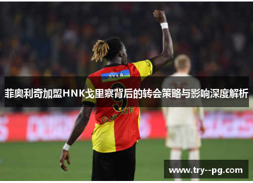 菲奥利奇加盟HNK戈里察背后的转会策略与影响深度解析 菲奥利奇加盟HNK戈里察背后的转会策略与影响深度解析