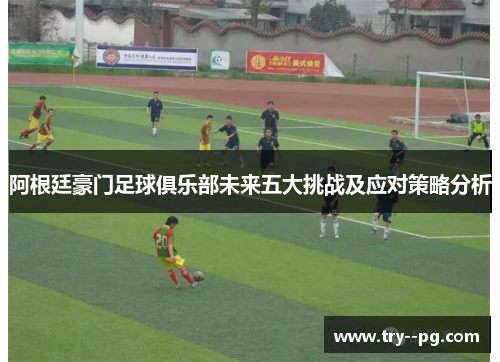 阿根廷豪门足球俱乐部未来五大挑战及应对策略分析