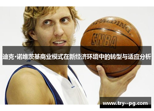 迪克·诺维茨基商业模式在新经济环境中的转型与适应分析 迪克·诺维茨基商业模式在新经济环境中的转型与适应分析
