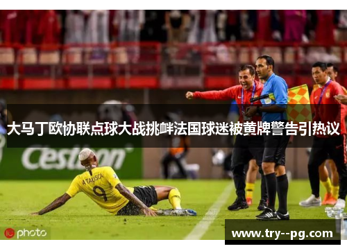 大马丁欧协联点球大战挑衅法国球迷被黄牌警告引热议