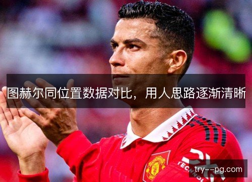 图赫尔同位置数据对比，用人思路逐渐清晰